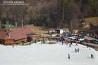 184.jpg