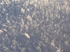 117.jpg